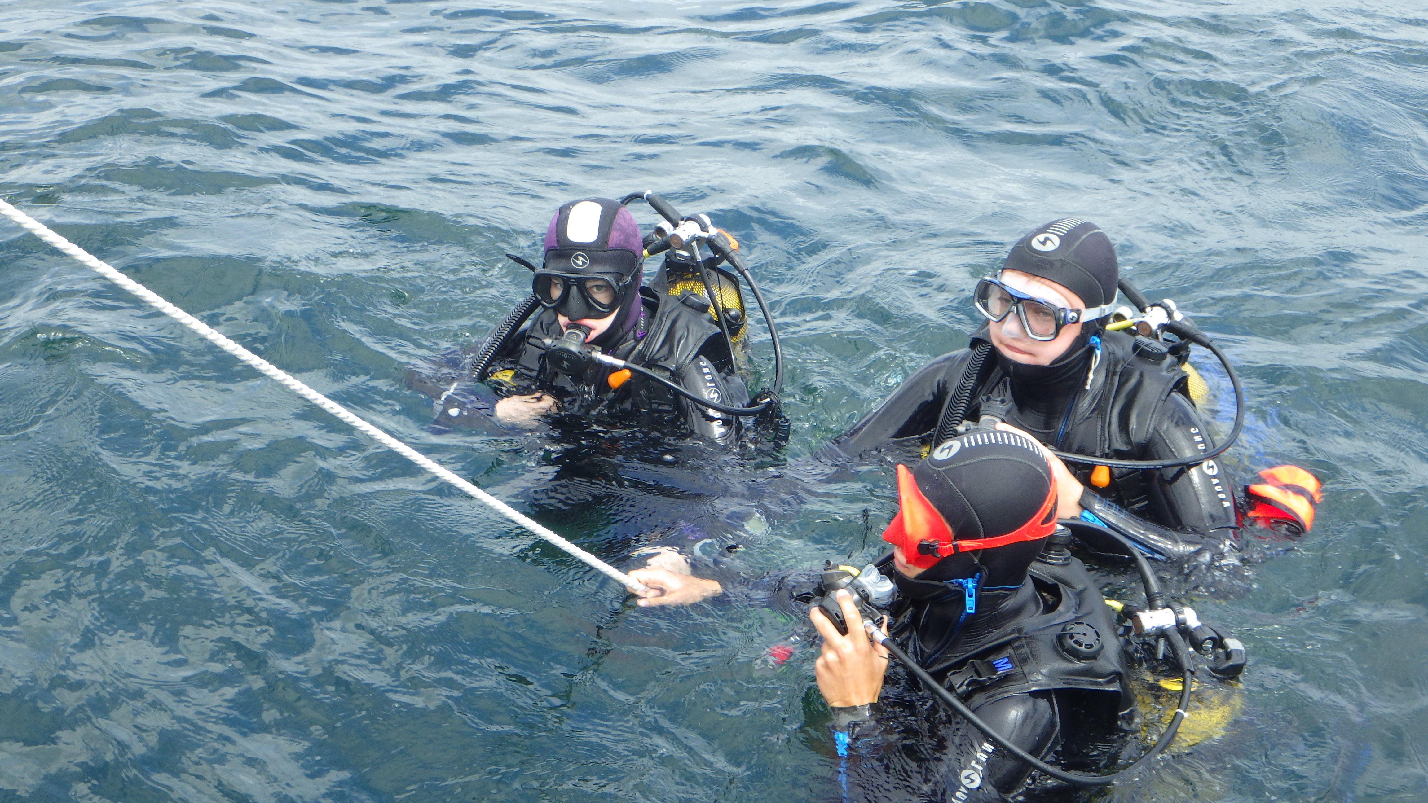 Les outils pédagogiques en immersion - Plongée sous-marine